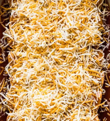 Shredded Chicken Enchiladas