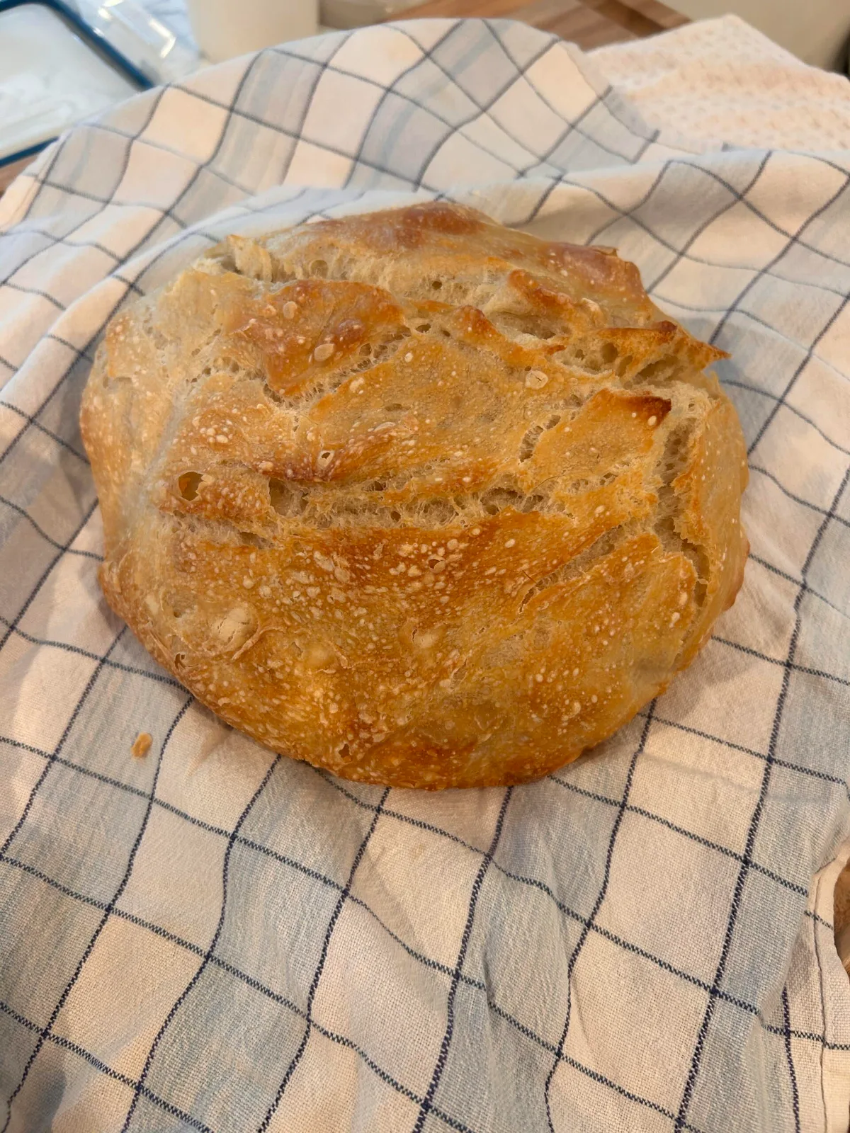 Sourdough Bread (w / Rye)