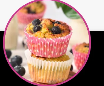 Coconut Flour Blueberry Muffins