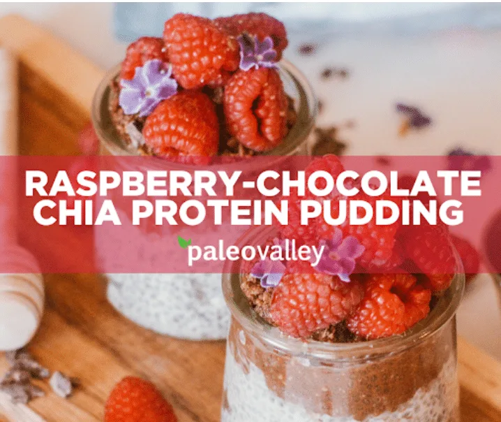 Raspberry Chocolate Chia Protein Pudding
