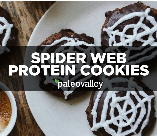 Spider Web Protein Cookies